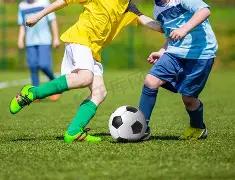 畅游足球盛,尽览德乙,英冠,新葡京,新葡京app,新葡京娱乐,新普京赌场