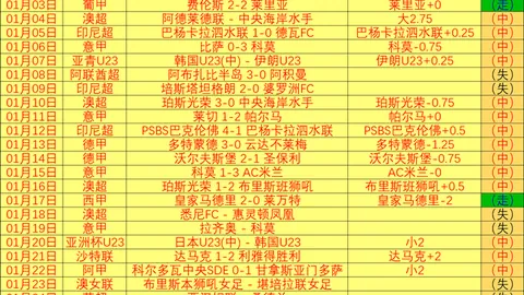 中俄关系新篇章：专题研究报告正式揭晓